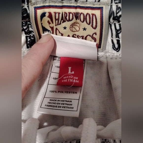 NEW Mitchell & Ness Vancouver Grizzlies Hardwood Classics Swingman Shorts size L - Picture 4 of 7